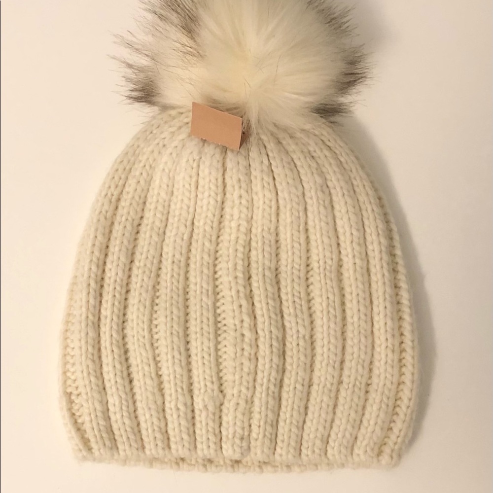 PRICE DROP! NWT American Eagle Pom Pom Beanie
